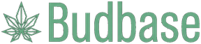 Budbase – THC Abbau Rechner